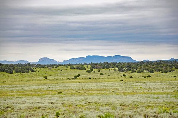 Blue Hills Elk Ranch - hunting property for sale in New Mexico unit 12