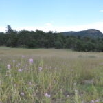 hunting ranch for sale new mexico