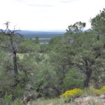 hunting ranch for sale new mexico