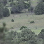 ranch for sale new mexico - alegrito foothills ranch