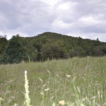 new mexico hunting land for sale