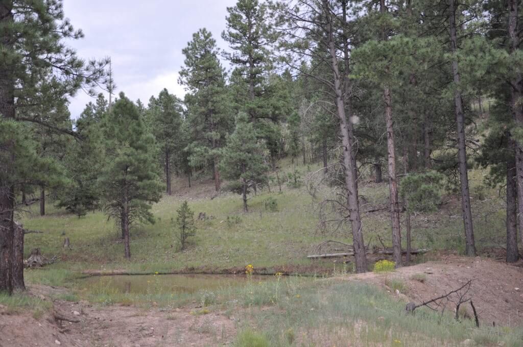 elk hunting ranch for sale in new mexico