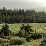 elk hunting property for sale new mexico