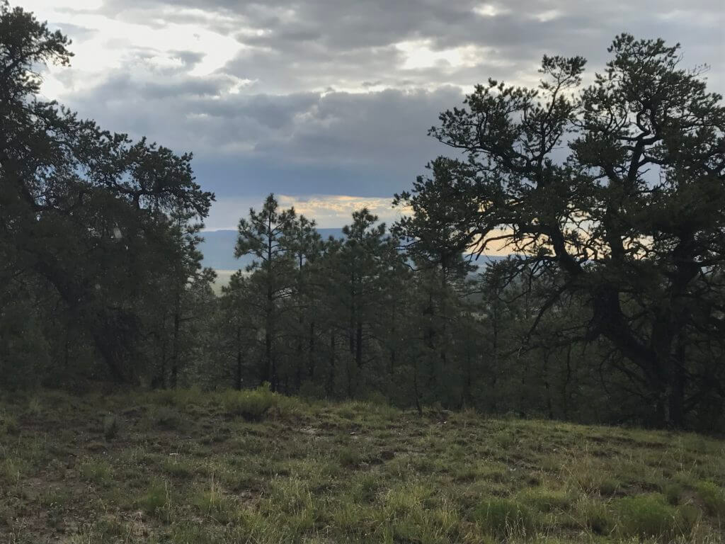 new mexico hunting ranch for sale