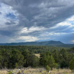 ranches for sale in new mexico - alegrito foothills