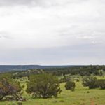 cattle ranch properties for sale New Mexico