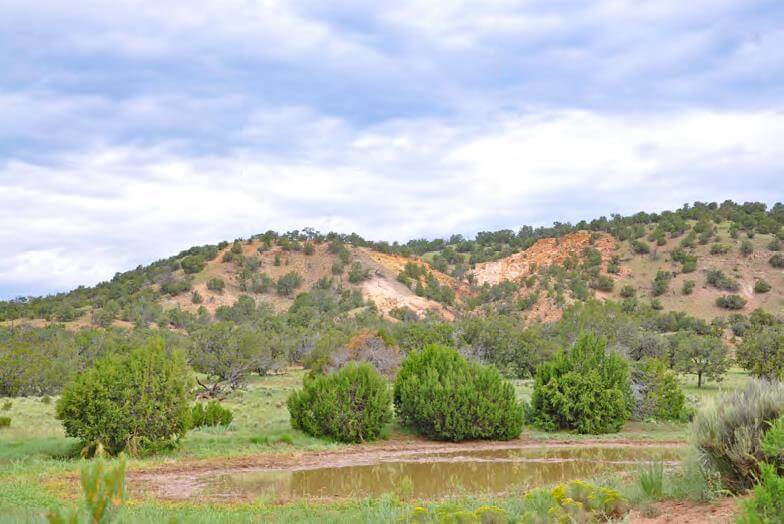 New Mexico hunting ranches real estate