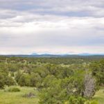 hunting land for sale New Mexico