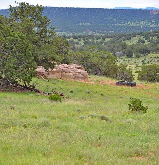 Hunting Ranch New Mexico by Premier Ranch Properties