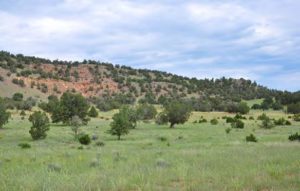 ranches for sale in New Mexico