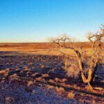 st johns arizona ranch farm for sale - egypt region