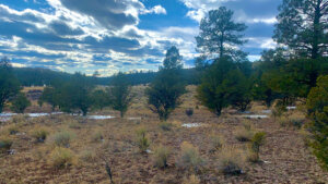Gallo Lake deeded land for sale in New Mexico elk unit 15
