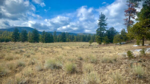 Gallo Lake deeded land for sale in New Mexico elk hunt unit 15